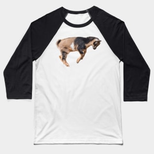 Bouncing Baby Goat 6 Baseball T-Shirt